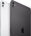 IPAD PRO M4 256GB (11")